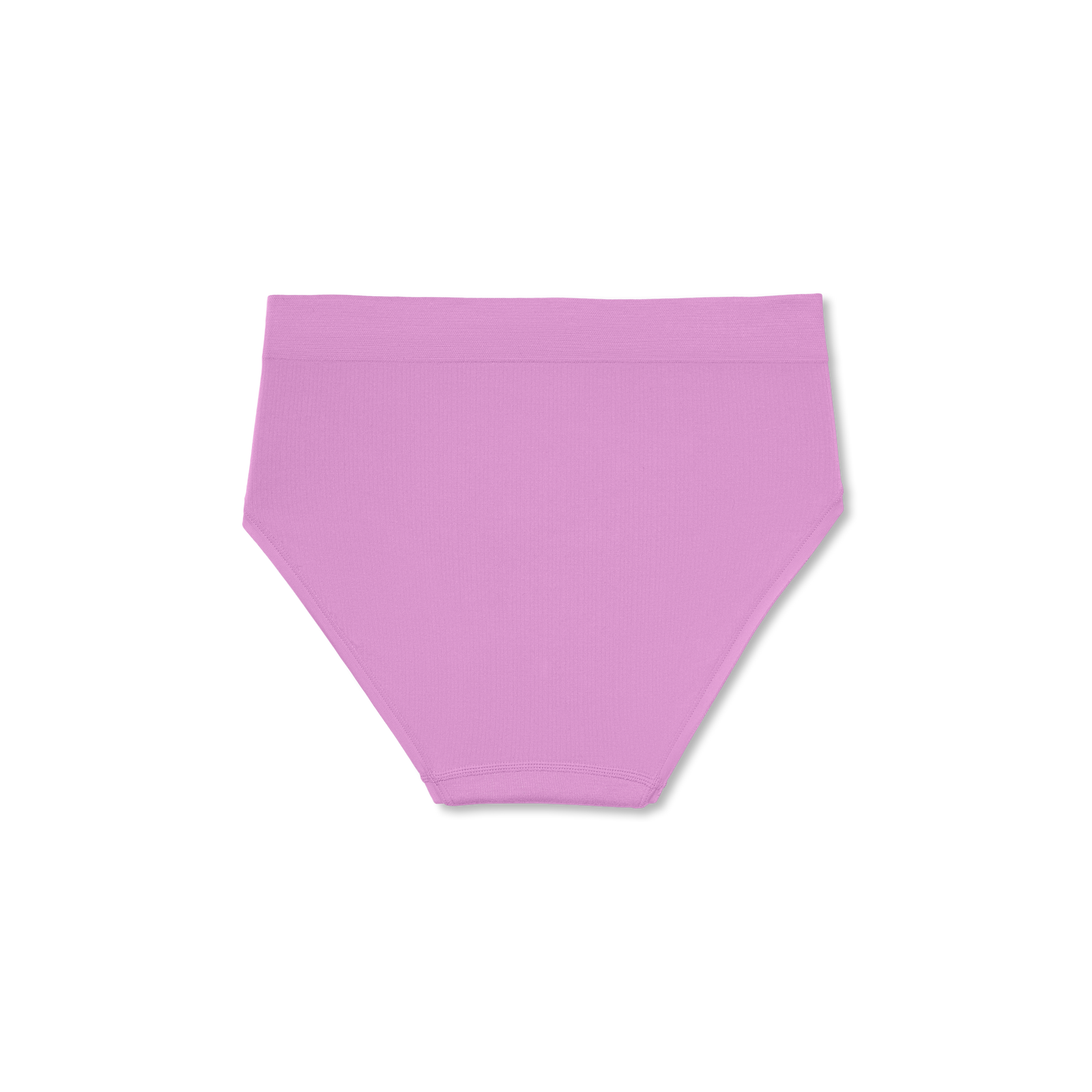 Women's Ribbed Seamless High Rise Brief - Violet Orchid L Back [7718]