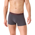 All Spice / Pebble Micro Stripe